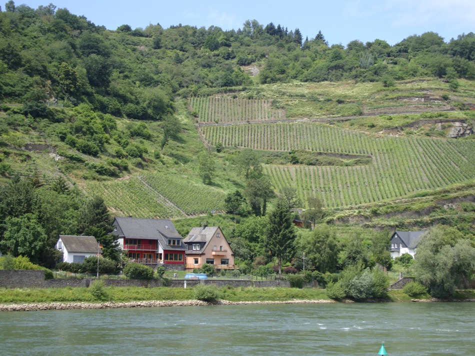 RhineRiver144s.jpg