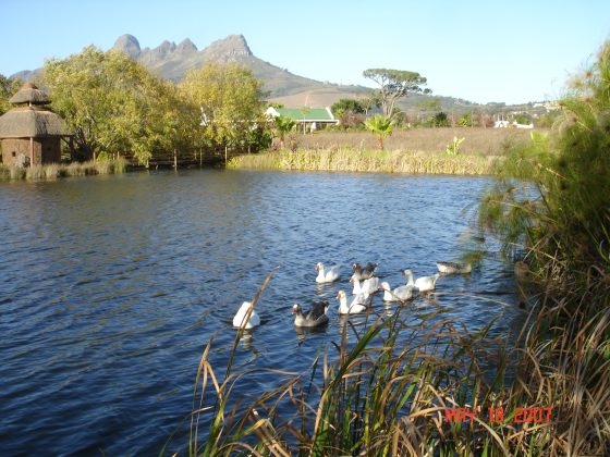 Stellenbosch_092.jpg